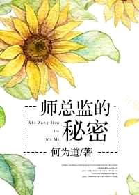 师总监的秘密封面